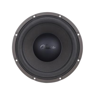 Classic 10" Subwoofer Speaker
